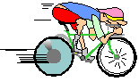 Fahrradservice Pasing Erwin  Riedl